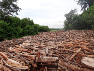 Área já desmatada em Águas de Santa Bárbara para a construção de uma PCH no rio Pardo