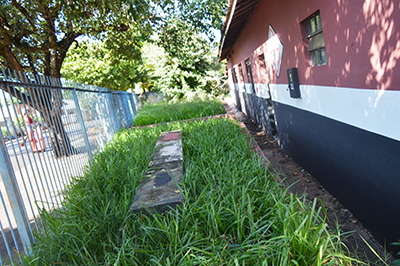 ABANDONO — O mato toma conta do terreno e até perto da sede social