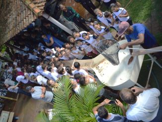 Estudantes acompanham a soltura dos peixes no rio Pardo, na quarta-feira, 22