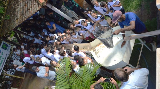 Foto: Sérgio Fleury
