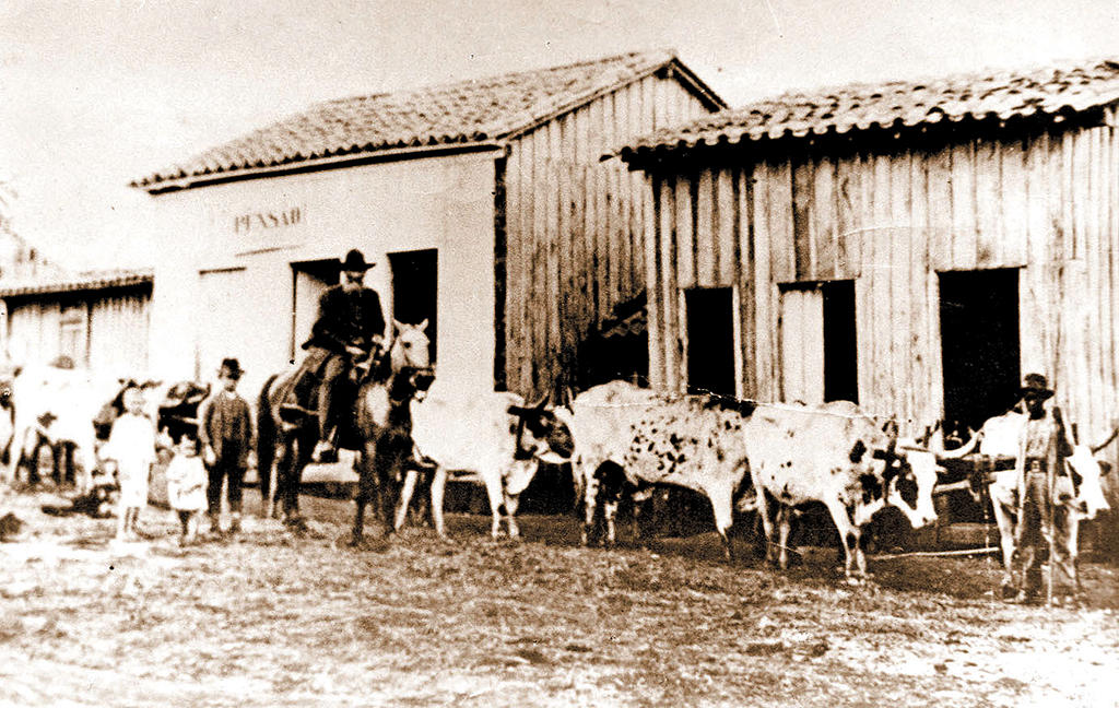 A história da saga do pioneiro Joaquim Manoel de Andrade