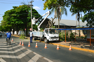 web árvores 3