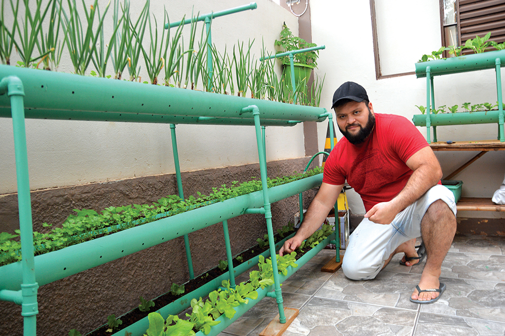 Horta é cultivada em canos de PVC