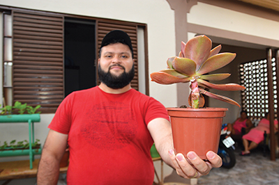 Plantas não coméstiveis também estão sendo cultivadas em vasos