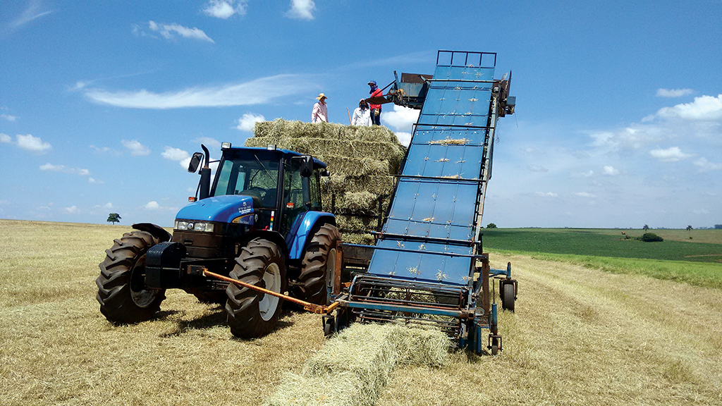 Agricultor cria coletor de feno