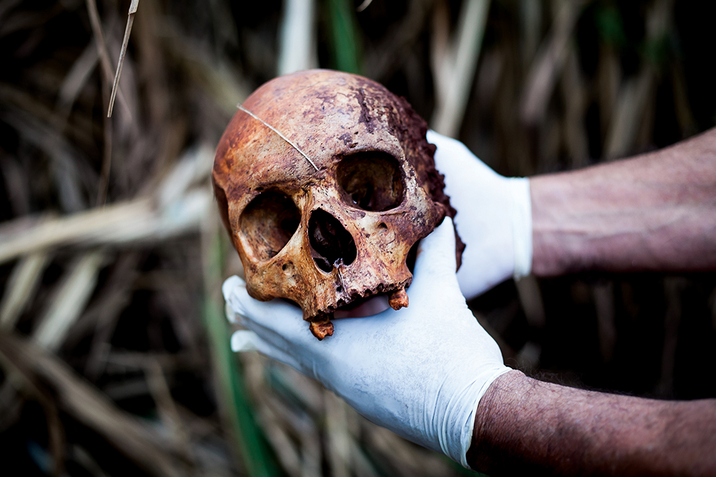 Ossada humana é achada em área rural