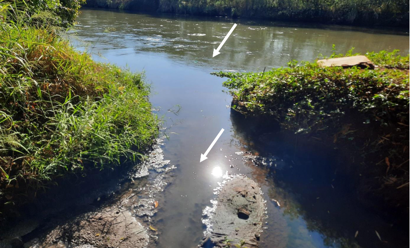 Gaema denuncia SAE e diz que autarquia não evitou contaminação de água em Ourinhos