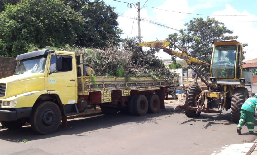‘Mutirão de limpeza’ se aproxima de 200 toneladas recolhidas em Santa Cruz