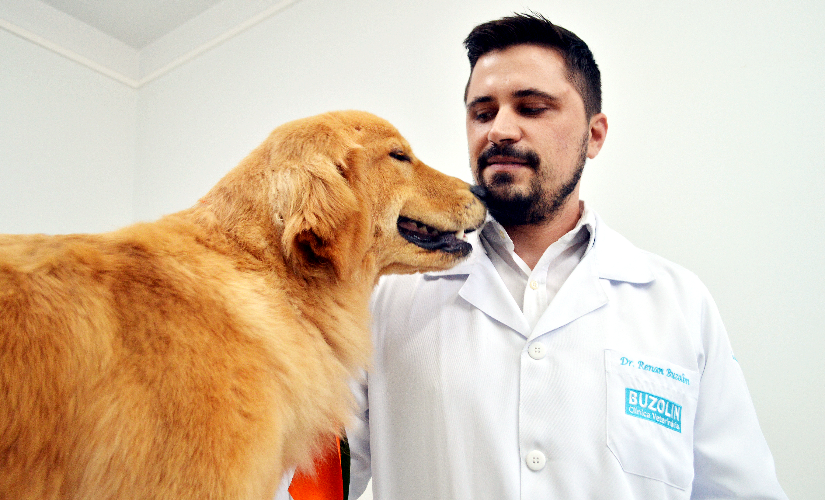 Cidade enfrenta surto de cinomose, e veterinário faz alerta