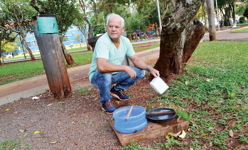 A natureza se revela em praça pública
