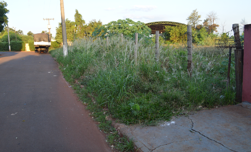 Matagais causam reclamações em praticamente toda a cidade