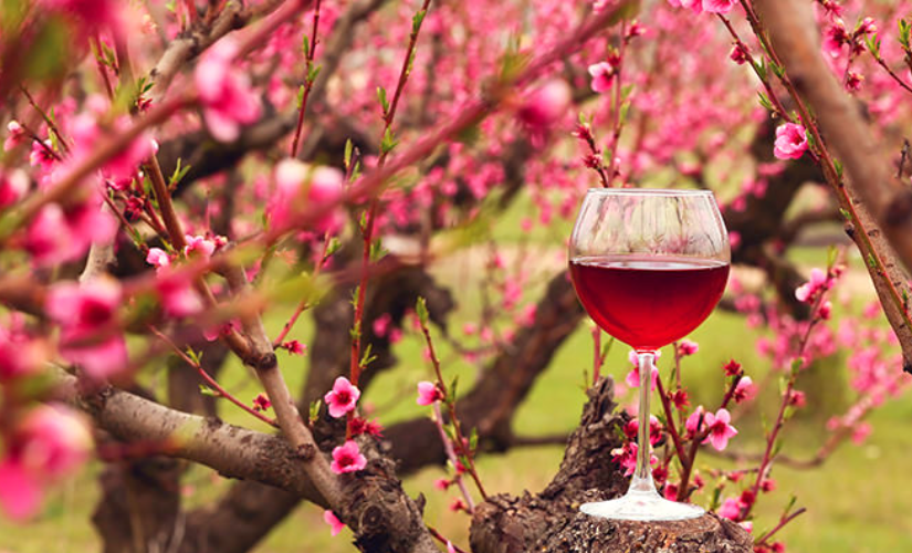 O vinho da primavera