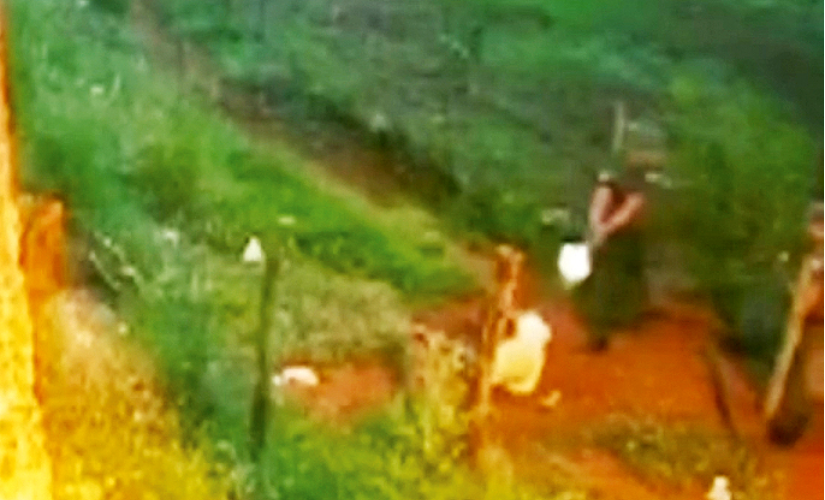 Execução de foragido leva policiais à cadeia; um deles é de Santa Cruz
