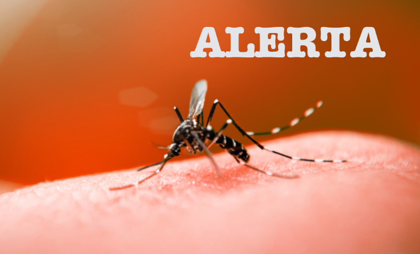 Município investiga morte por dengue; uso de máscaras contra a covid volta a ser obrigatório nas escolas