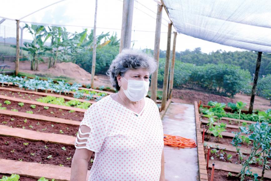 Graça Pimentel, viúva do professor Eduardo Pimentel, é voluntária na Fazenda