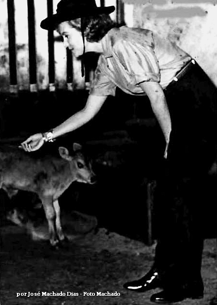 Numa cena do filme “Pão de Açúcar”, Rhonda  alimenta animais na fazenda Califórnia, na cidade de Jacarezinho