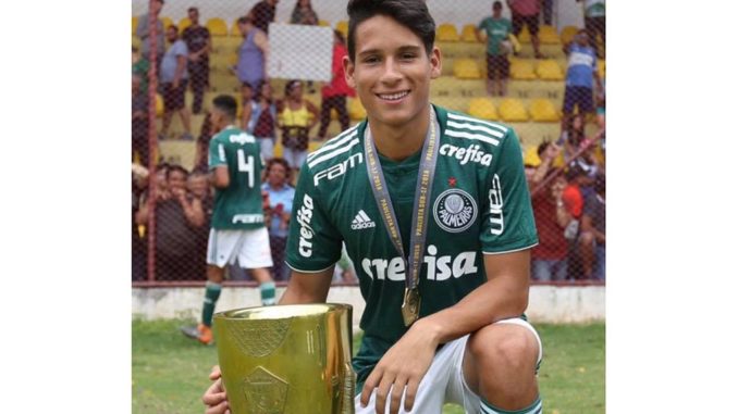 web campeão palmeiras 1964