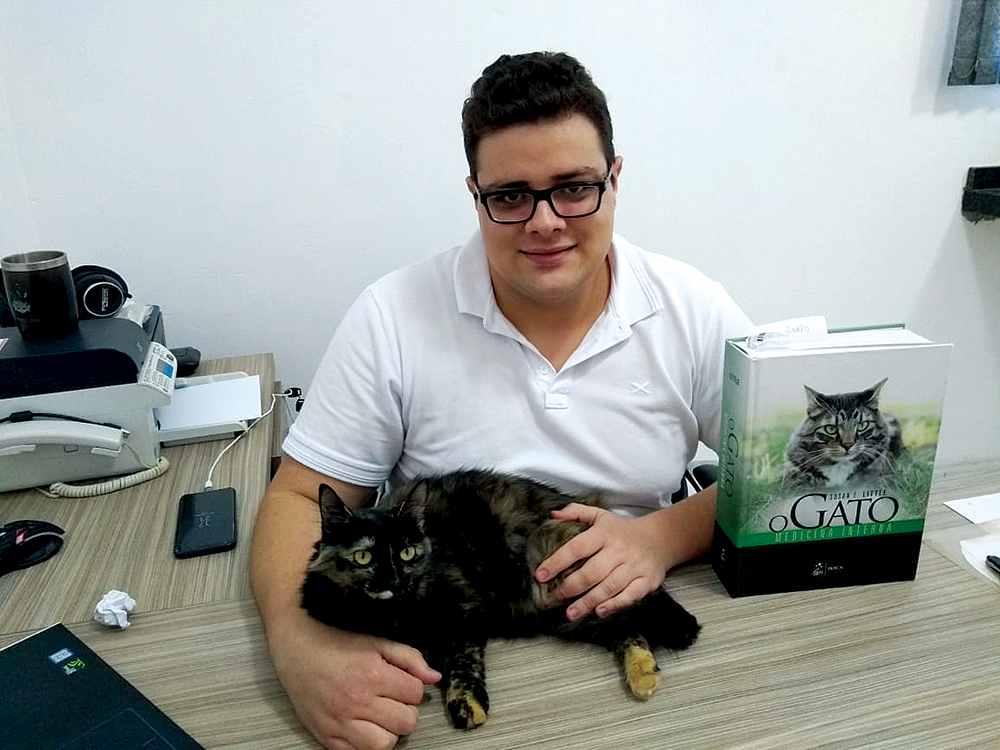 O gato é mesmo o vilão?