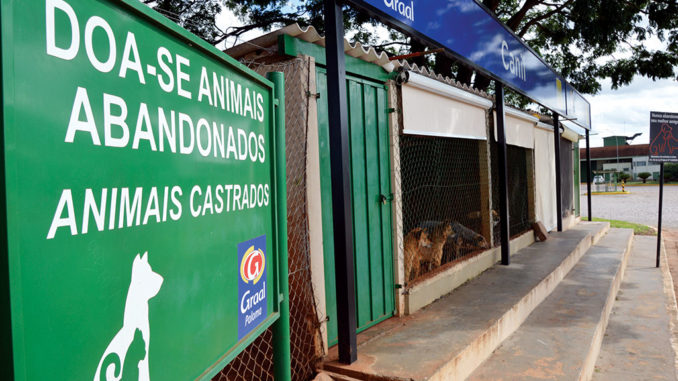 Foto: Sérgio Fleury