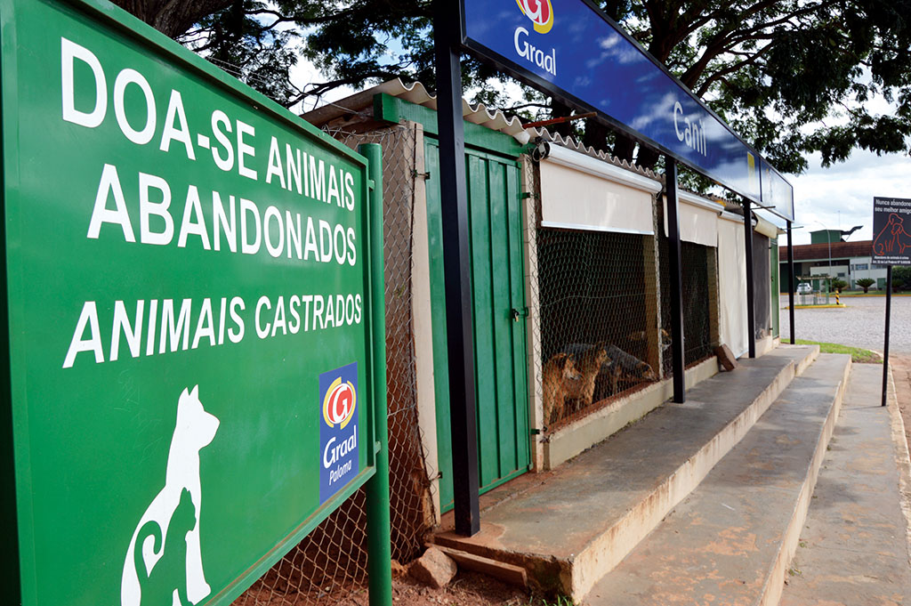 Um abrigo para animais em plena rodovia