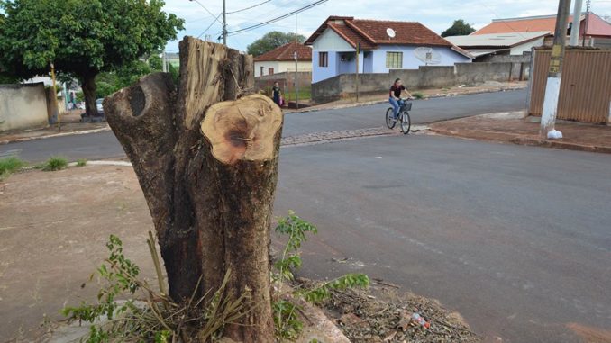 Foto: Sérgio Fleury