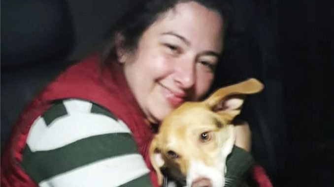 Foto: Dário Miguel