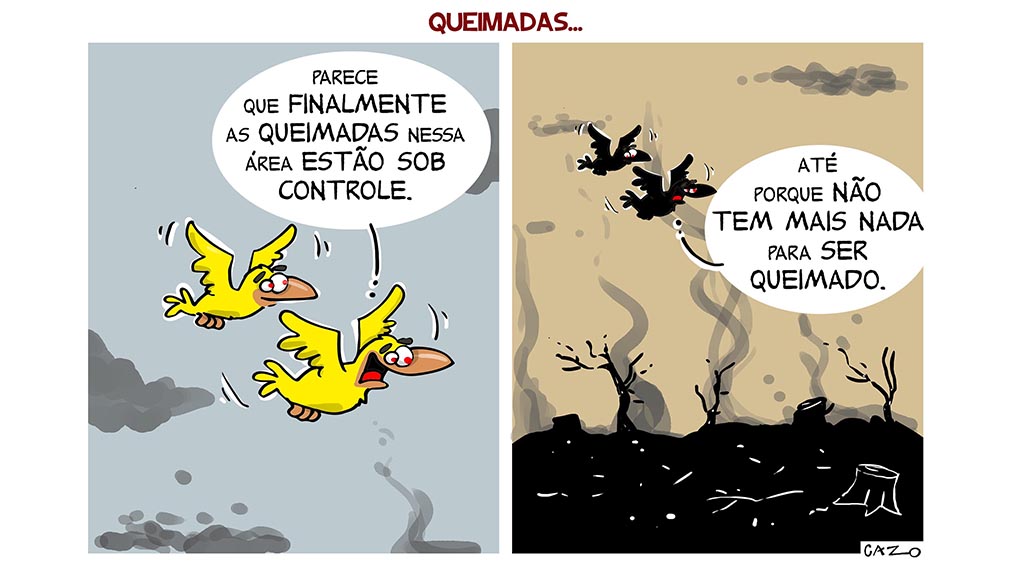 DICAS - Edição de 1º/09/2019