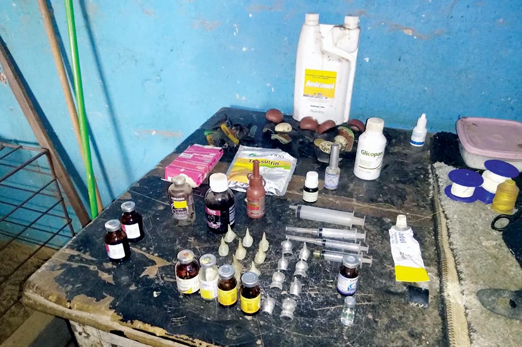 Homem é preso por maus tratos em Bernardino de Campos