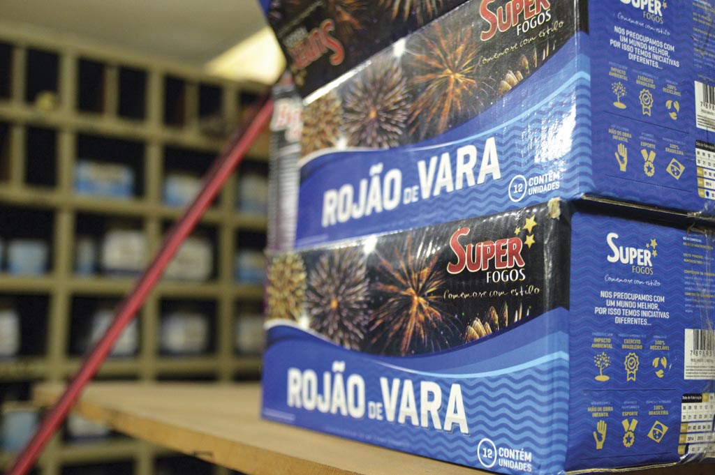 Câmara vai promulgar projeto que proíbe rojões em Santa Cruz