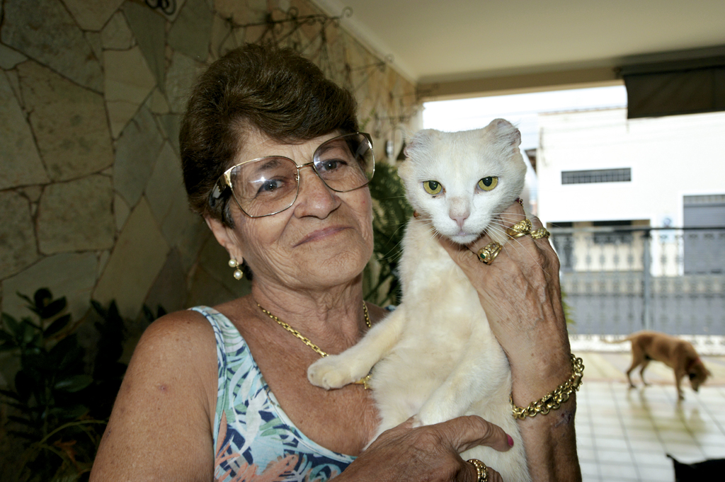 Mulher cuida de gato ‘trans’ em Santa Cruz do Rio Pardo