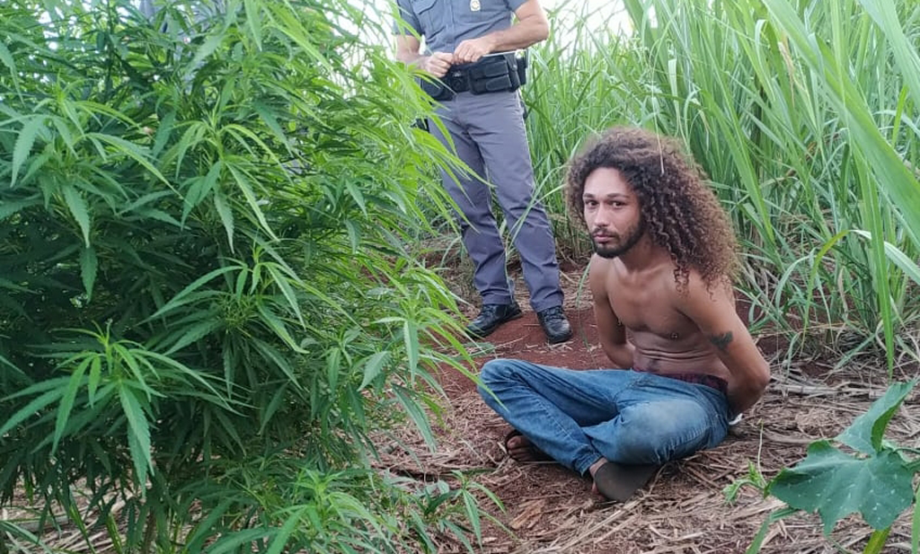 Polícia prende homem que plantava maconha