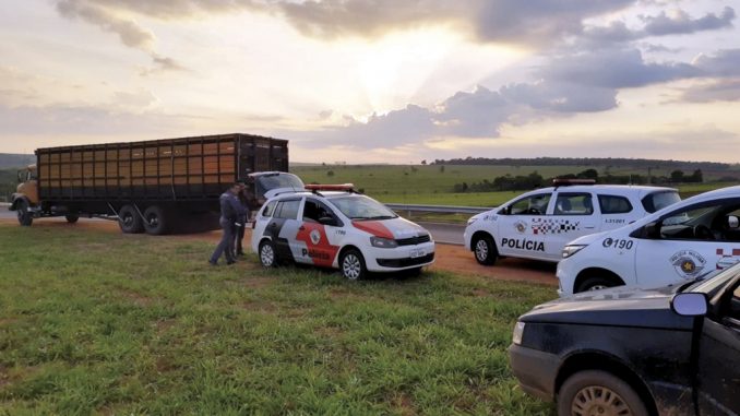 Foto: Lucas Pereira