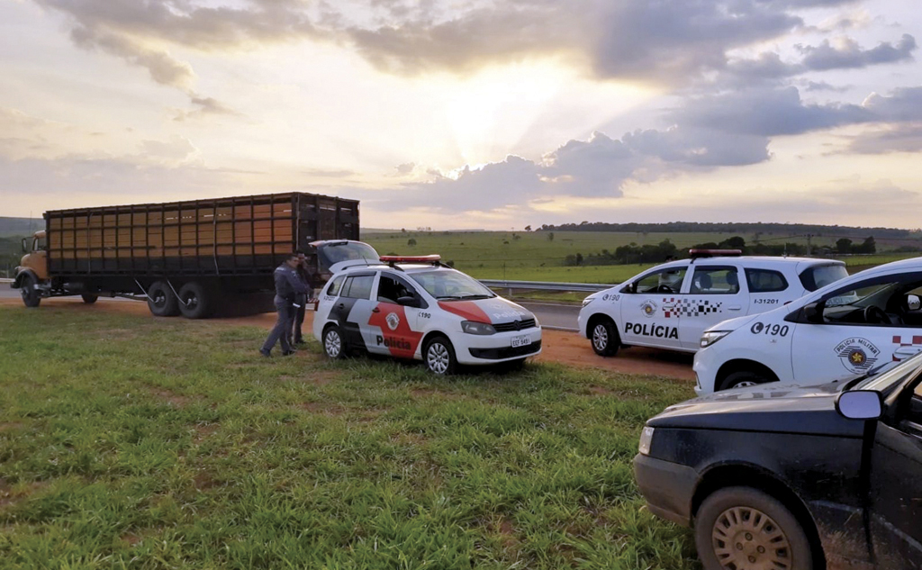 Quadrilha é presa em Espírito Santo do Turvo por furto de gado