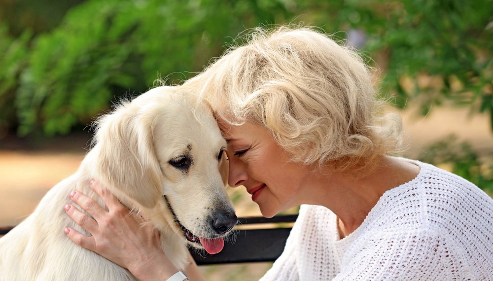 Artigo: ‘Amor animal'