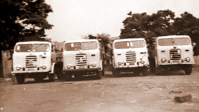Acervo: Adauto Bassi