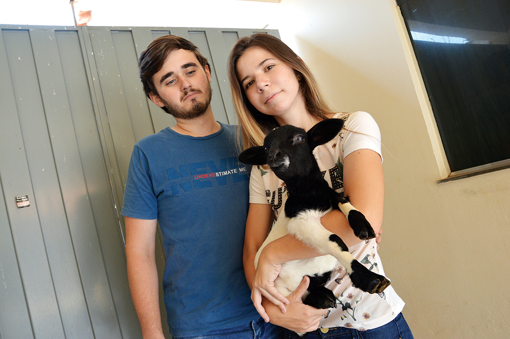 Ovelha órfã vira animal de estimação em Santa Cruz